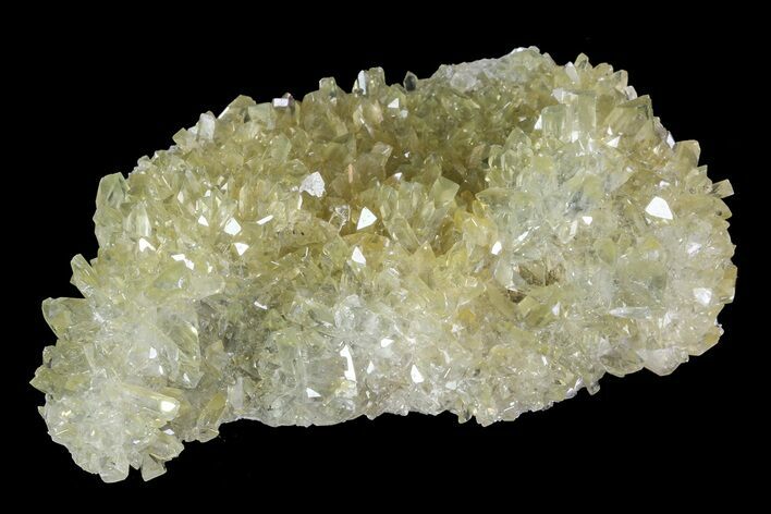 Plate Of Gemmy, Chisel Tipped Barite Crystals - Mexico #84411
